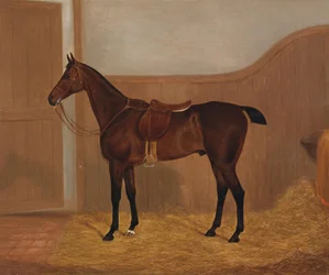 Paardenportret (Fireland of Cocktail, een van twee schilderijen in een lot met deze benamingen)